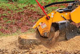 Best Soil Testing and Treatment  in Lincoln Rk, PA